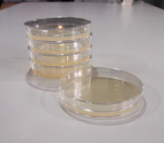 All about agar - Using agar to grow your best mushrooms.