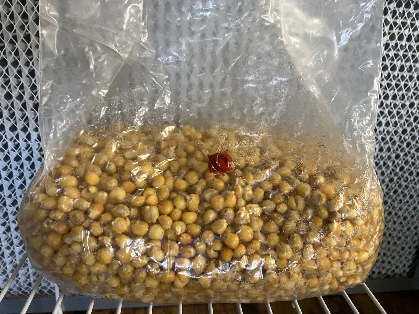 Prepared Popcorn Grain Bags
