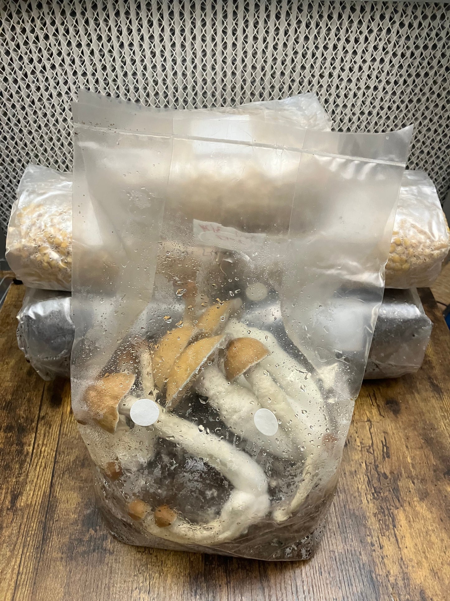 3Lb All-in-One Bags