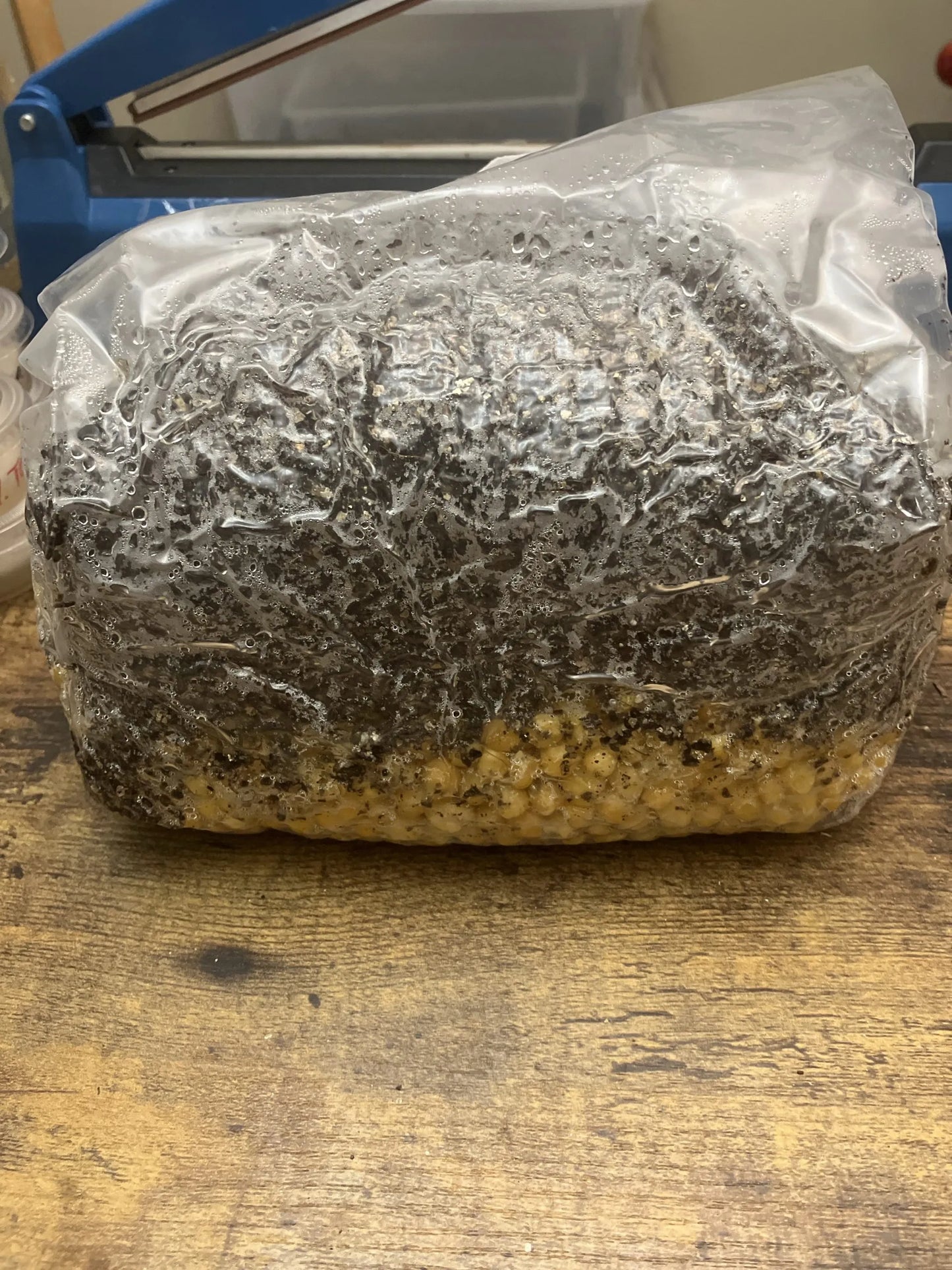 3Lb All-in-One Bags