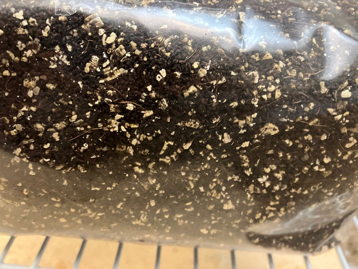 3Lb CVG Substrate