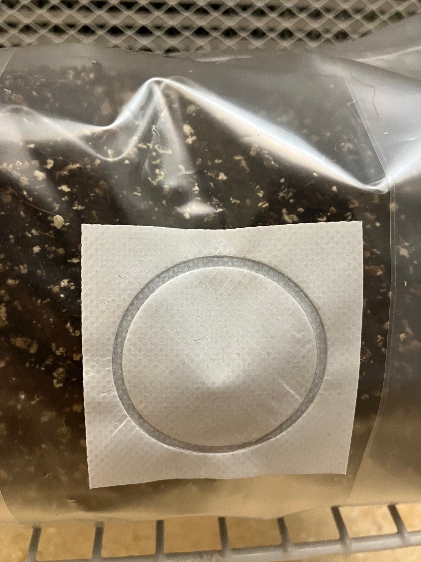 .2 micron filter patch