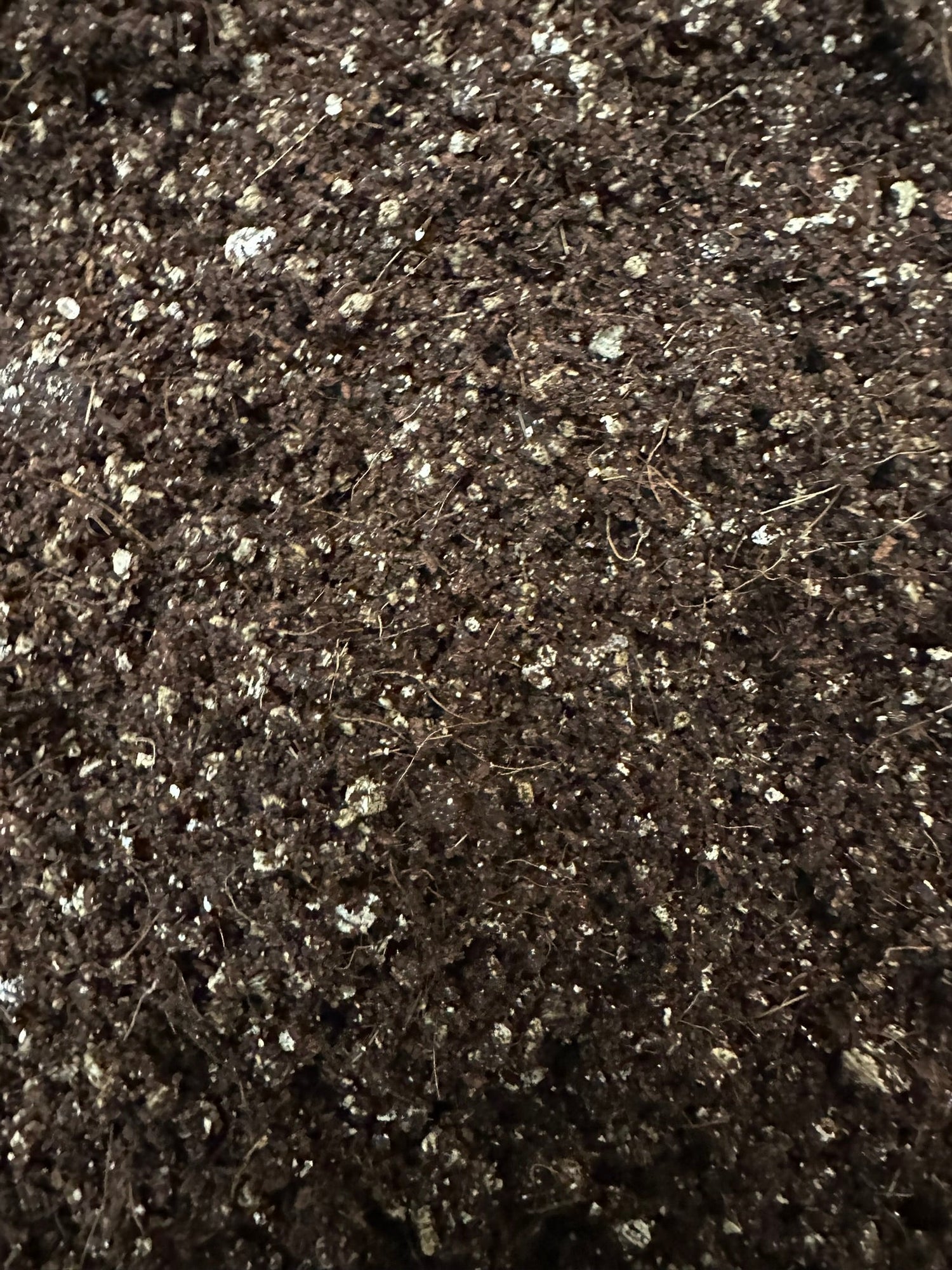 Prepared Substrate