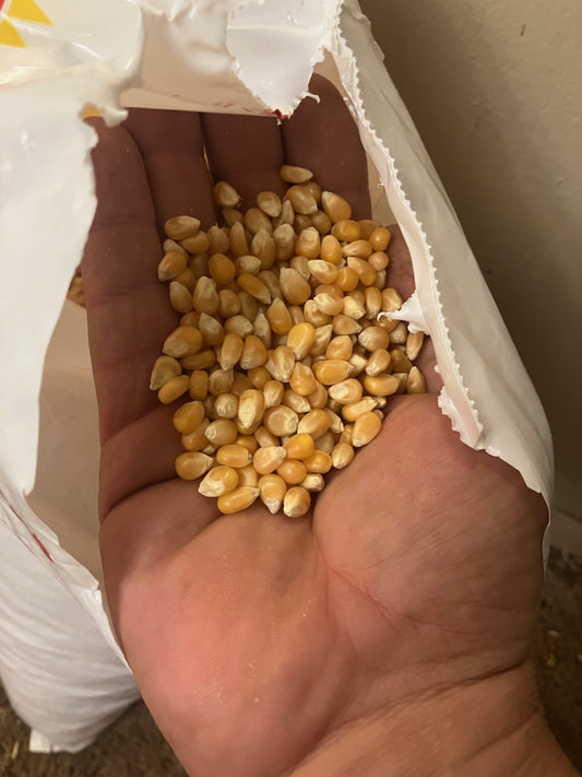 Prepared Popcorn Grain Bags