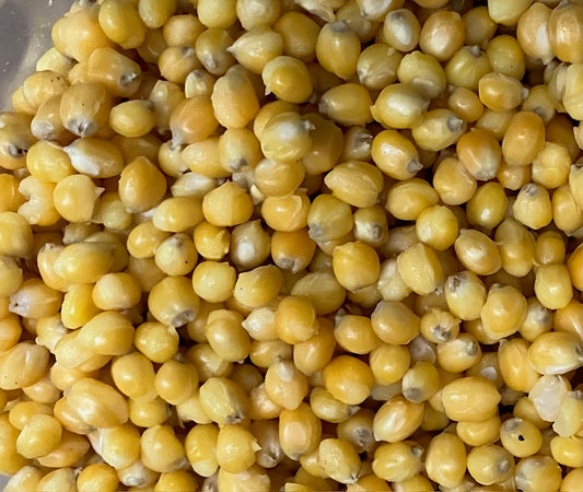 Prepared Popcorn Grain Bags