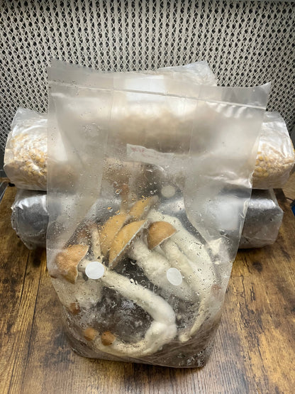 3Lb All-in-One Bags