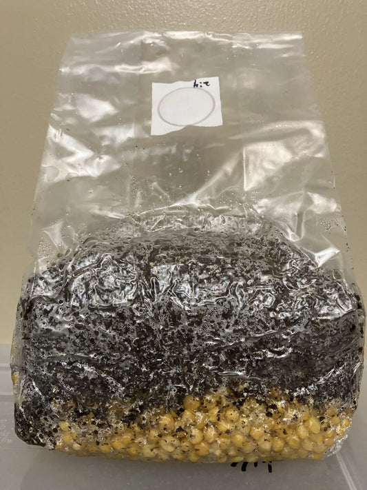 3Lb All-in-One Bags