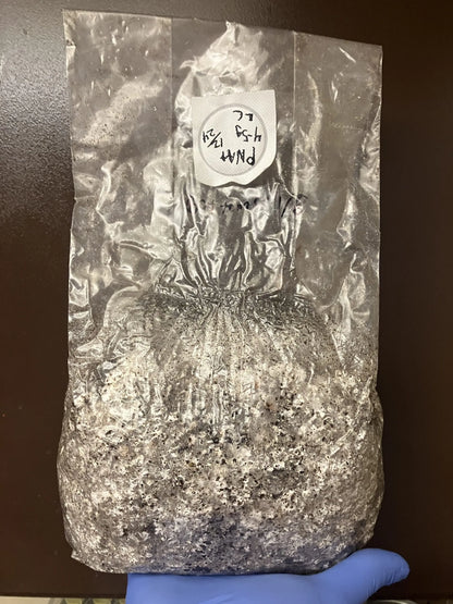 3Lb All-in-One Bags