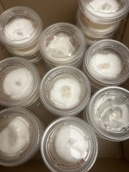 Pre-Poured Agar Plates