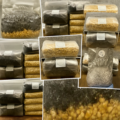 MonoTub Refill Kits - 20, 50, & 66 Quart Refill Kits.
