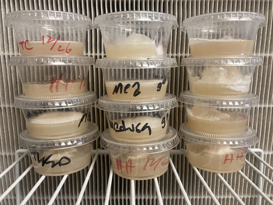Pre-Poured Agar Plates
